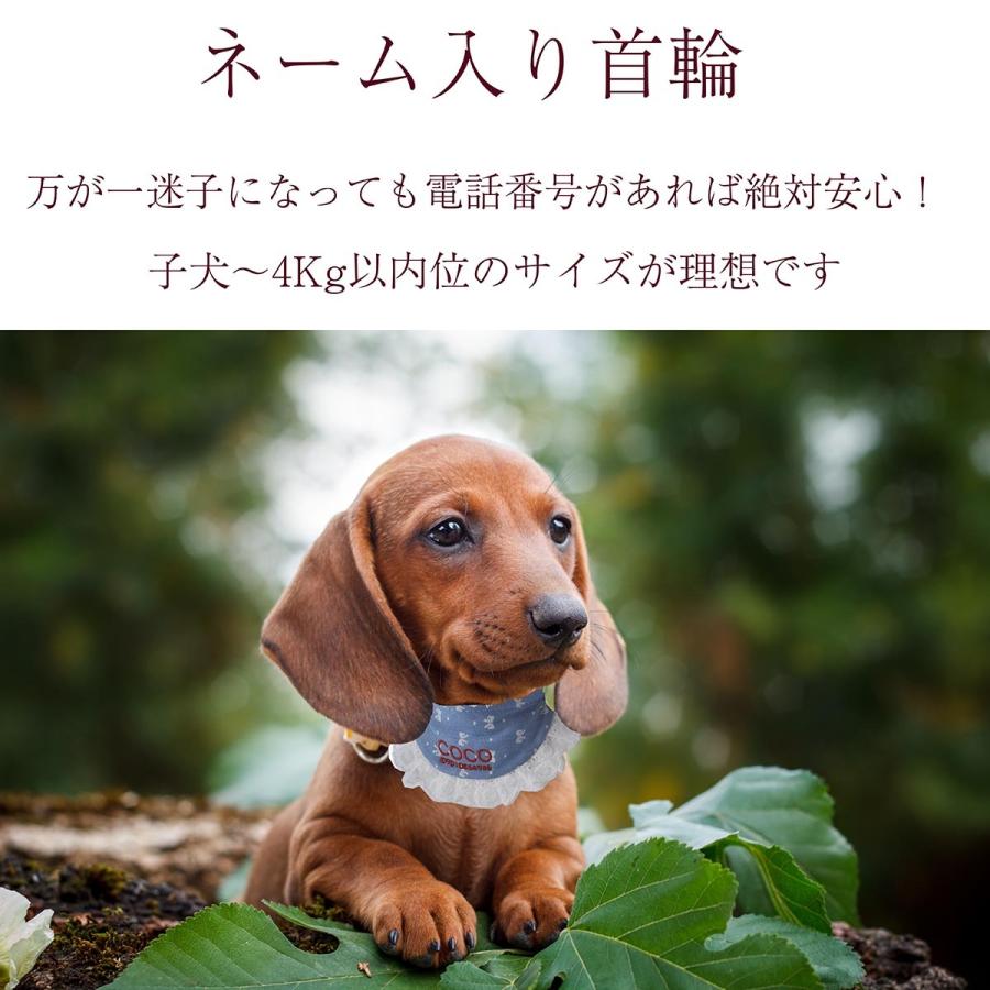 犬用品 犬用猫用 お名前入り♡リボンハートビブ