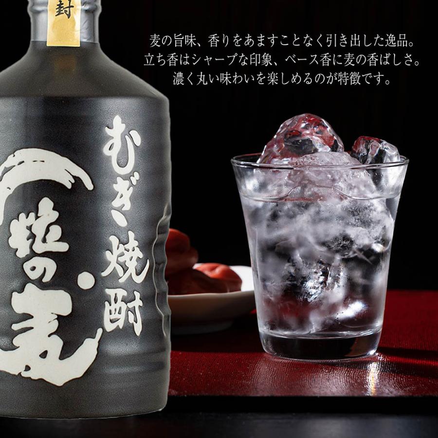名入れ ギフト SXX 麦焼酎 西酒造 一粒の麦 陶器入 720ml ハンカチ・紐