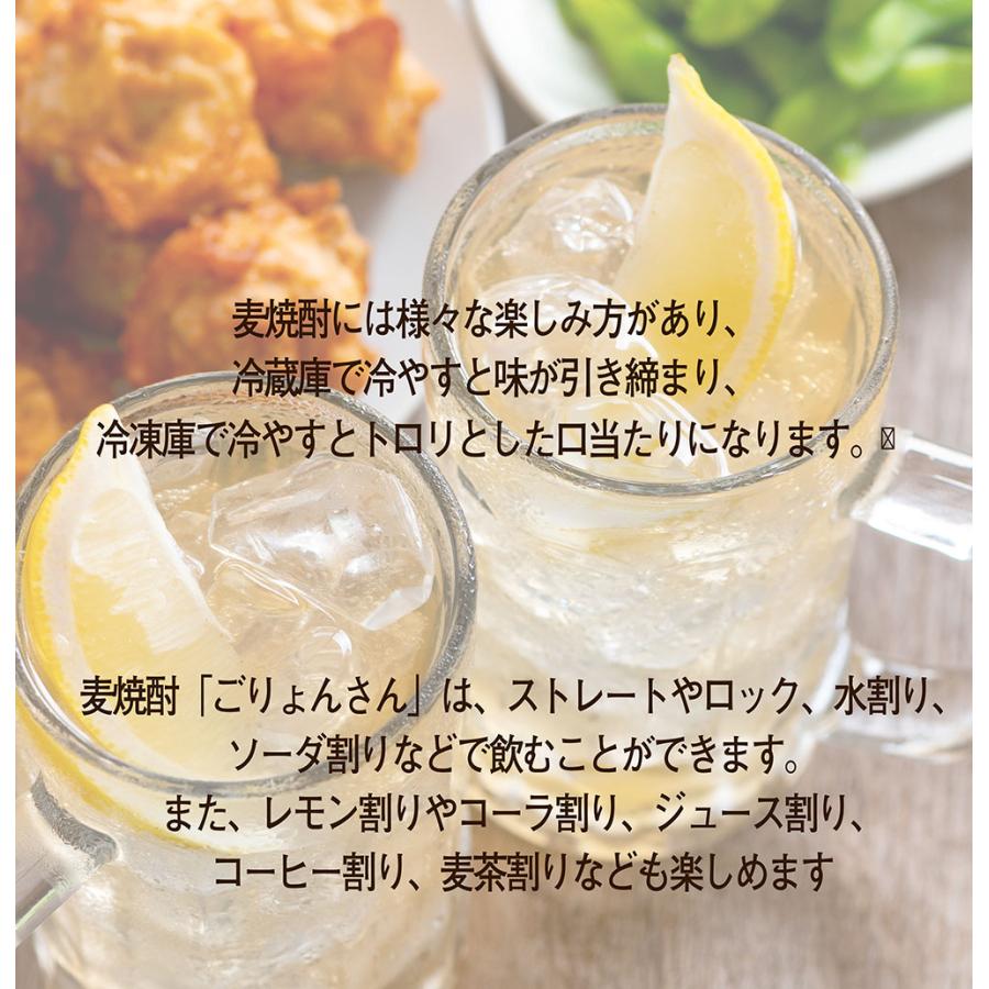 二階堂酒造 名入れ ギフト SXX 麦焼酎 鷹正宗 ごりょんさん 徳利 720ml