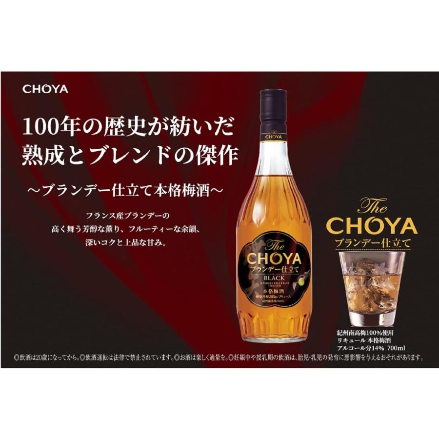名入れ ギフト SXX デコボトル 梅酒 チョーヤ The CHOYA ブランデー