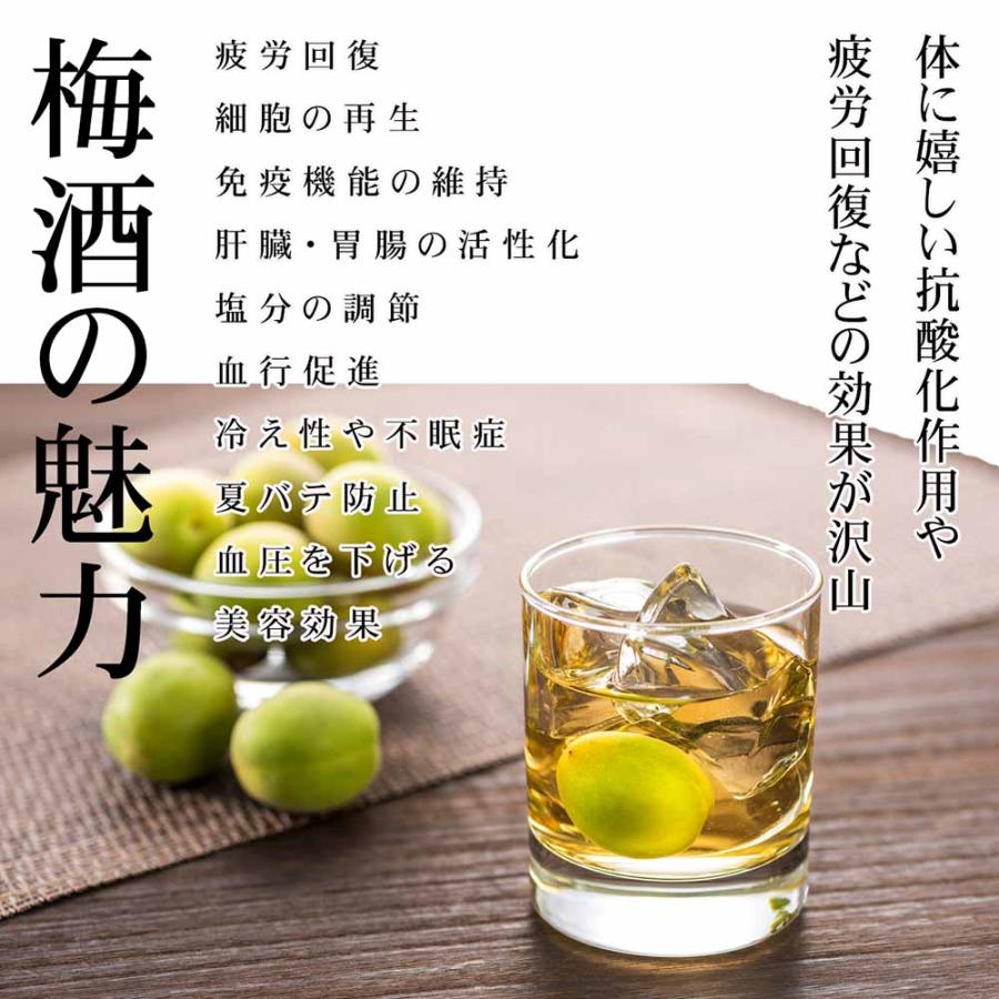 名入れ ギフト SXX デコボトル 梅酒 チョーヤ The CHOYA ブランデー