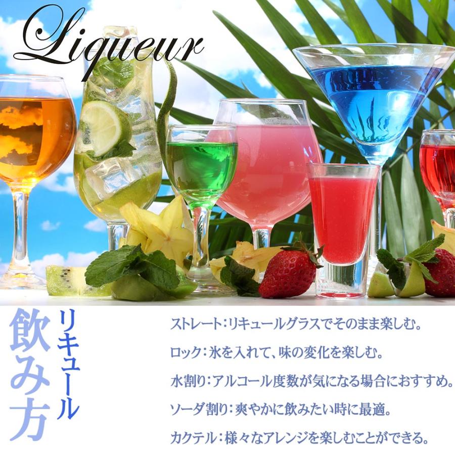 名入れ ギフト SXX リキュール シンデレラシュー 350ml デコ仕上げ