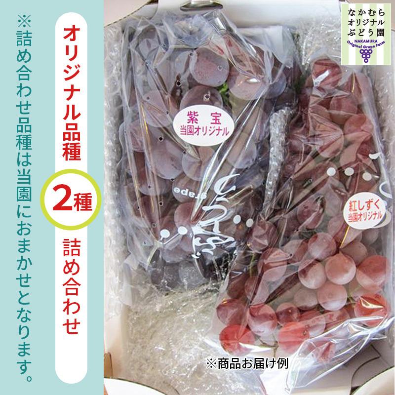 オリジナル品種　2種詰合せセット45:80size　中村オリジナルぶどう園