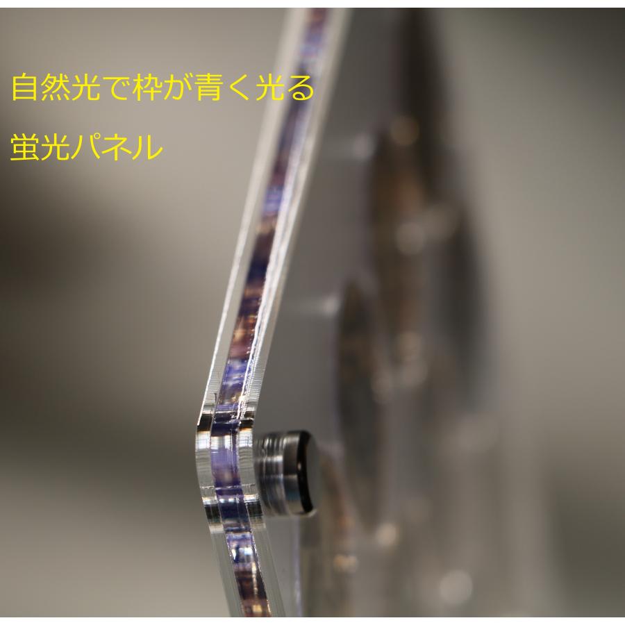 記念メダルアクリルフレーム20穴／観光地にある刻印できる記念メダル用