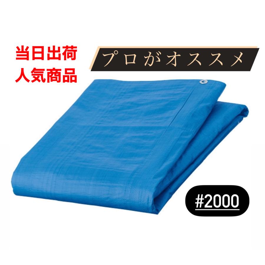 ブルーシート 10m×10m 2枚 #2000 ビニールシート 工事 DIY 現場 土木