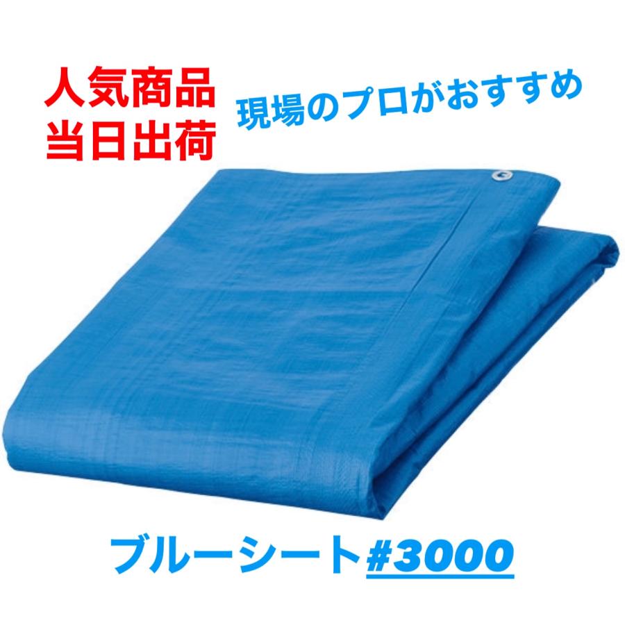 ブルーシート 10m×10m 2枚 #3000 厚手 ビニールシート 工事