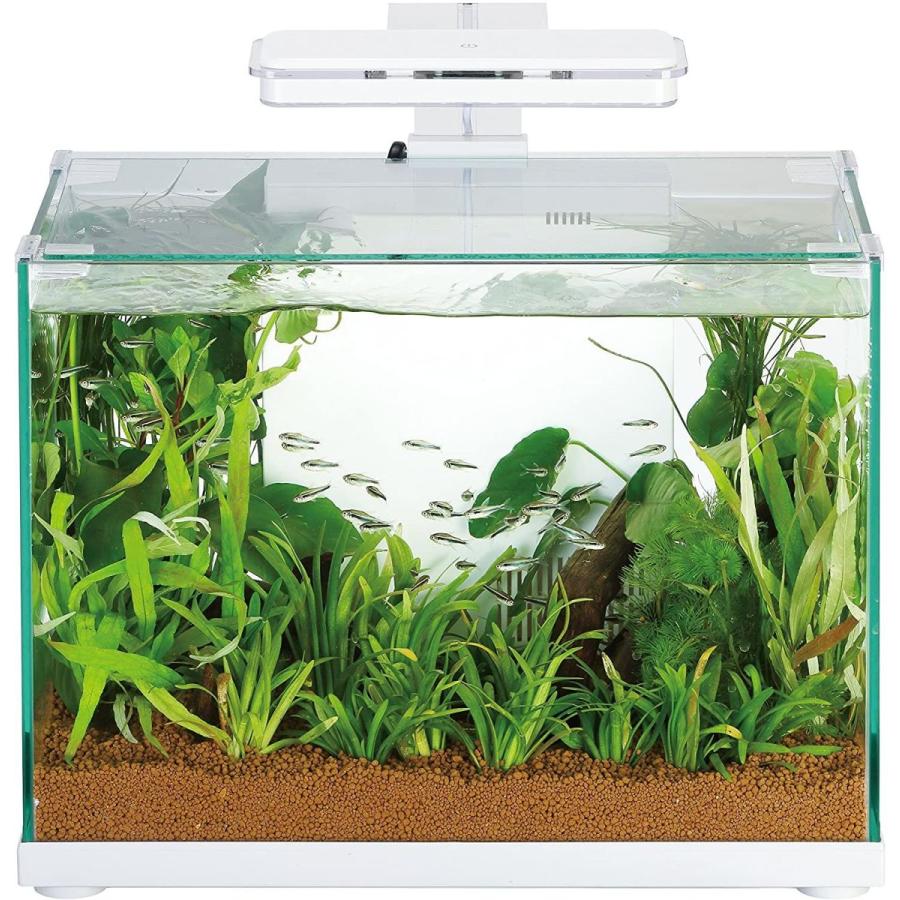 アクアテリア N160 金魚用 ガラス水槽と水耕栽培プランター