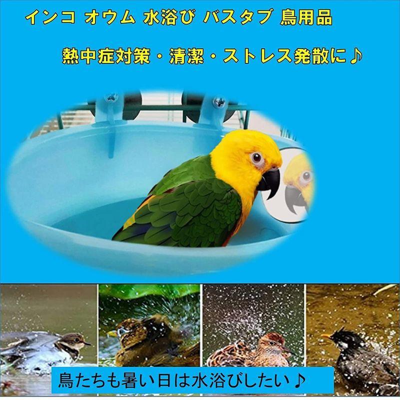 St Ts 鳥 水浴び 容器 鏡付き インコ 文鳥 鳥用 小鳥 バスタイム ミラー ケース 鳥かご 鳥用水浴び プール L8n4wondwp その他鳥用品 Closetoart Fr