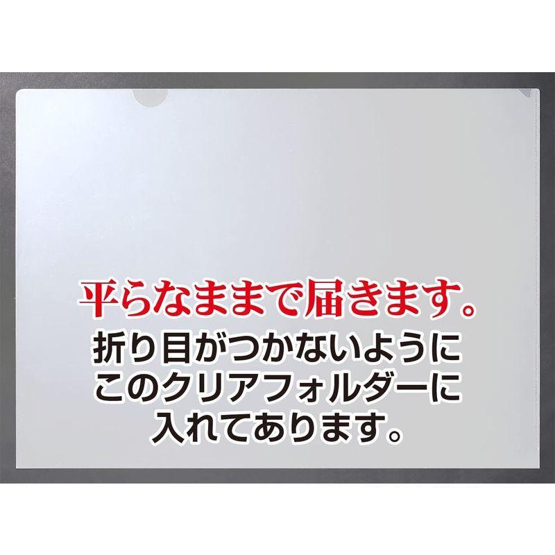 高級感 Owner オーナー Oh 天野テンカラ 1号 Thisissesame Com