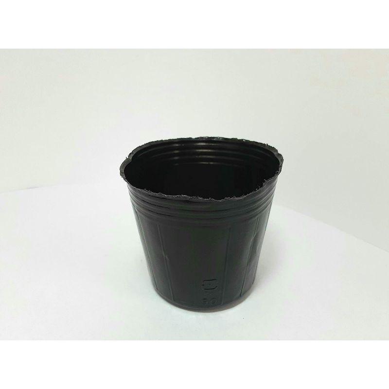 驚きの価格が実現!】明和 ポリポット黒丸 9cm 100枚入 並行輸入品 農業用 ゴールデンスター 育苗用品 ポリポット120mmφ 7059
