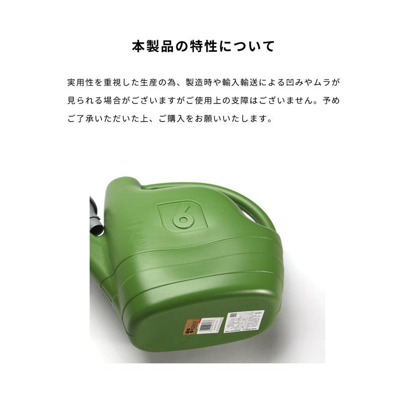 ６日入荷⭐️ゴールデンマンボ⭐️　トロピカルベリーセット一鉢 D.PIG536(ブタさん536）L#74 Z/BLUE-313116 | Ball&Chain KOBE