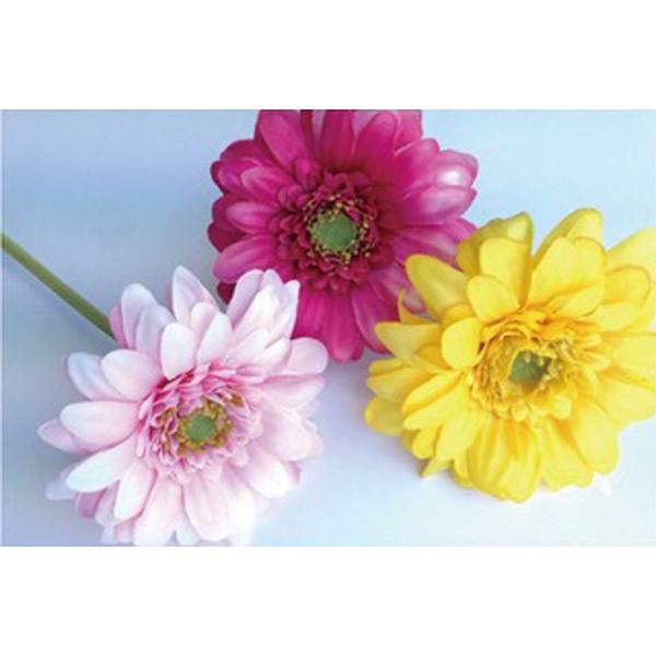 ボンブーグ ボタニカルペン ガーベラ お花のボールペン 筆記用具 文具 ステーショナリー Botanical Pen Gerbera Only オリジ 通販 Yahoo ショッピング