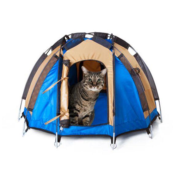 キャットハウス ネコ 猫 テント おしゃれ ドデカヒードロン テント ペット Dodecahedron Tent オリジ 通販 Yahoo ショッピング