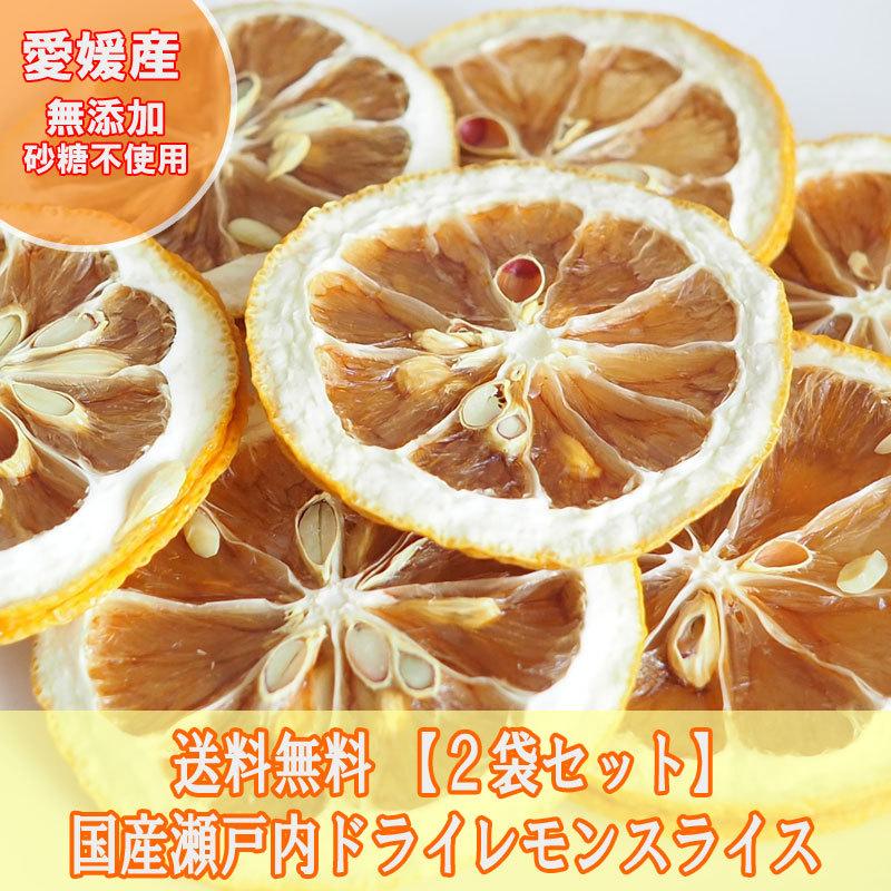 ドライレモン 国産 瀬戸内レモン 無添加 砂糖不使用 2袋セット 40g 府
