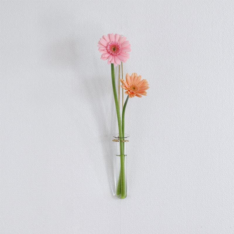 ハンギング リング ドライフラワー フック 試験管 壁飾り 壁掛けフック 一輪挿し 壁掛け インテリア おしゃれ かわいい Hanging Ring オリジ 通販 Yahoo ショッピング