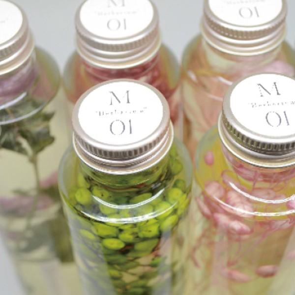 ハーバリウム 観賞用植物標本 おしゃれなインテリア植物標本 3本セット  