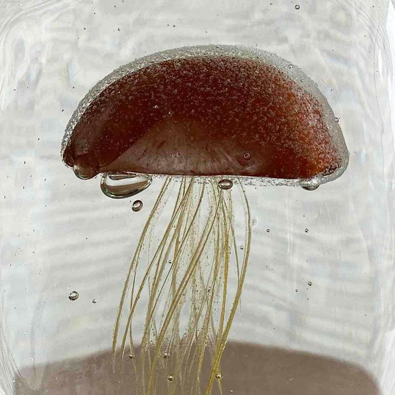 Jellyfish Paper Weight クラゲのガラスオブジェ 通販