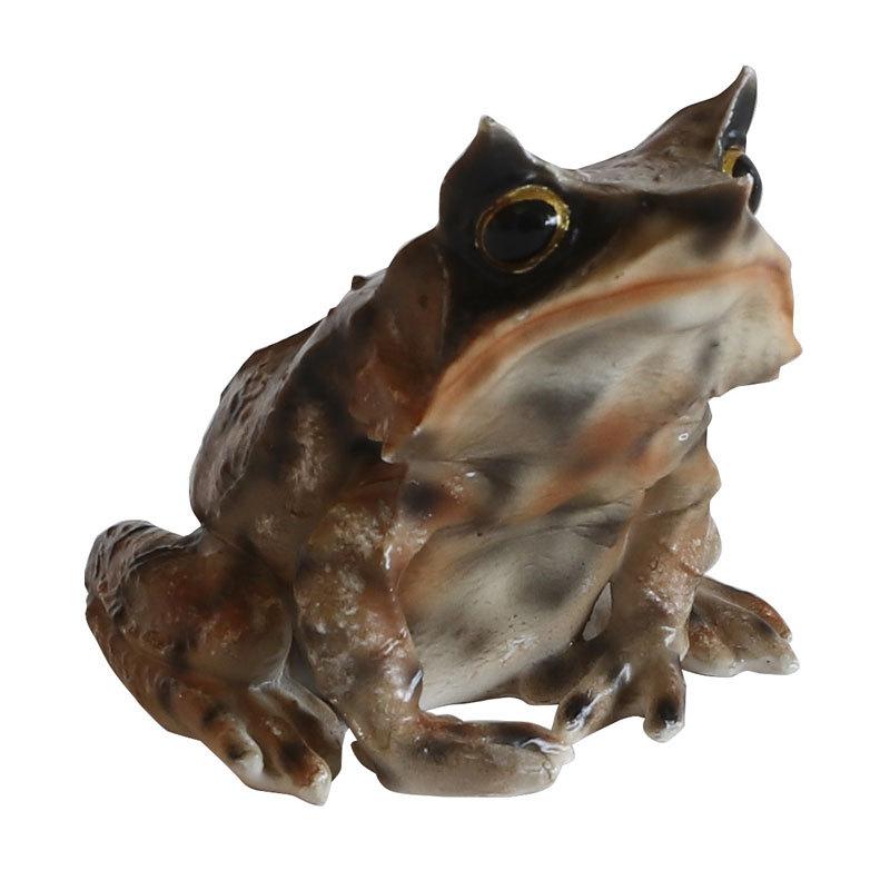 カエル オブジェ リアル レプタイルズマグ ミツヅノコノハガエル 磁石内蔵 置物 インテリア 文房具 おしゃれ かわいい クリップホルダー Megophrys Nasuta オリジ 通販 Yahoo ショッピング