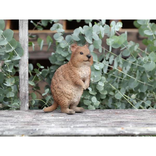ペットバンク クアッカ 貯金箱 置物 オブジェ 動物 かわいい おしゃれ インテリア Pet Bank Quokka オリジ 通販 Yahoo ショッピング
