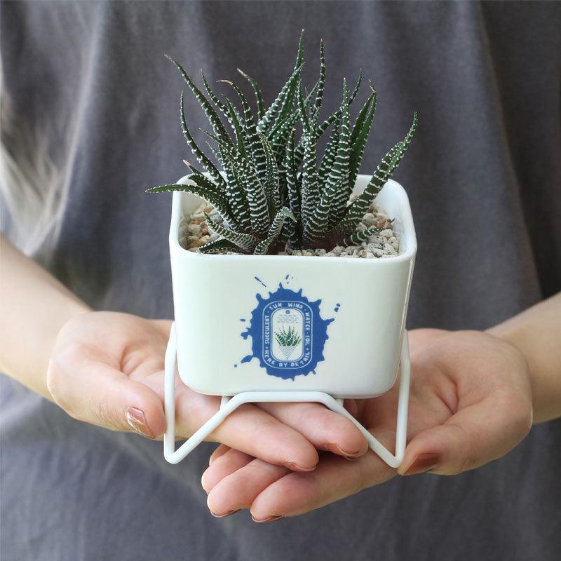 鉢 磁器 プランター スタンド おしゃれ 多肉植物 サボテン インテリア プラント ポット W スタンド 85 Plant Pot W Stand 85 オリジ 通販 Yahoo ショッピング