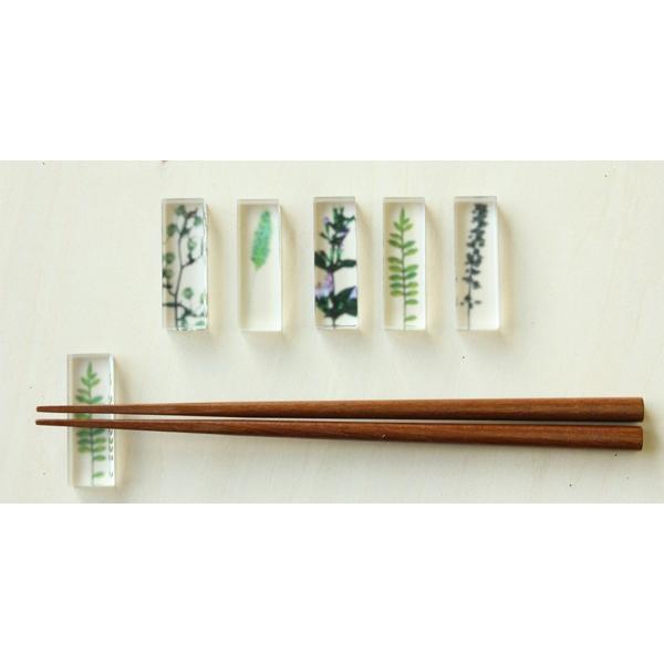 箸置き 5個 セット おしゃれ 花 トウメイ 押花 木箱入り