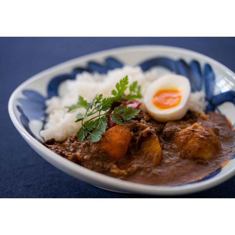 カレー皿 おしゃれ 波佐見焼 楕円 小さい 小ぶり 器 お皿 皿 食器 日本