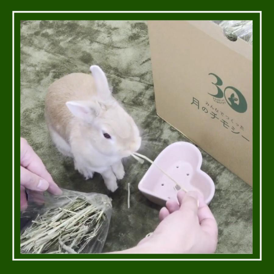 オリミツ（ORIMITSU） 2025年度産 チモシー 一番刈り 牧草 プレミアム