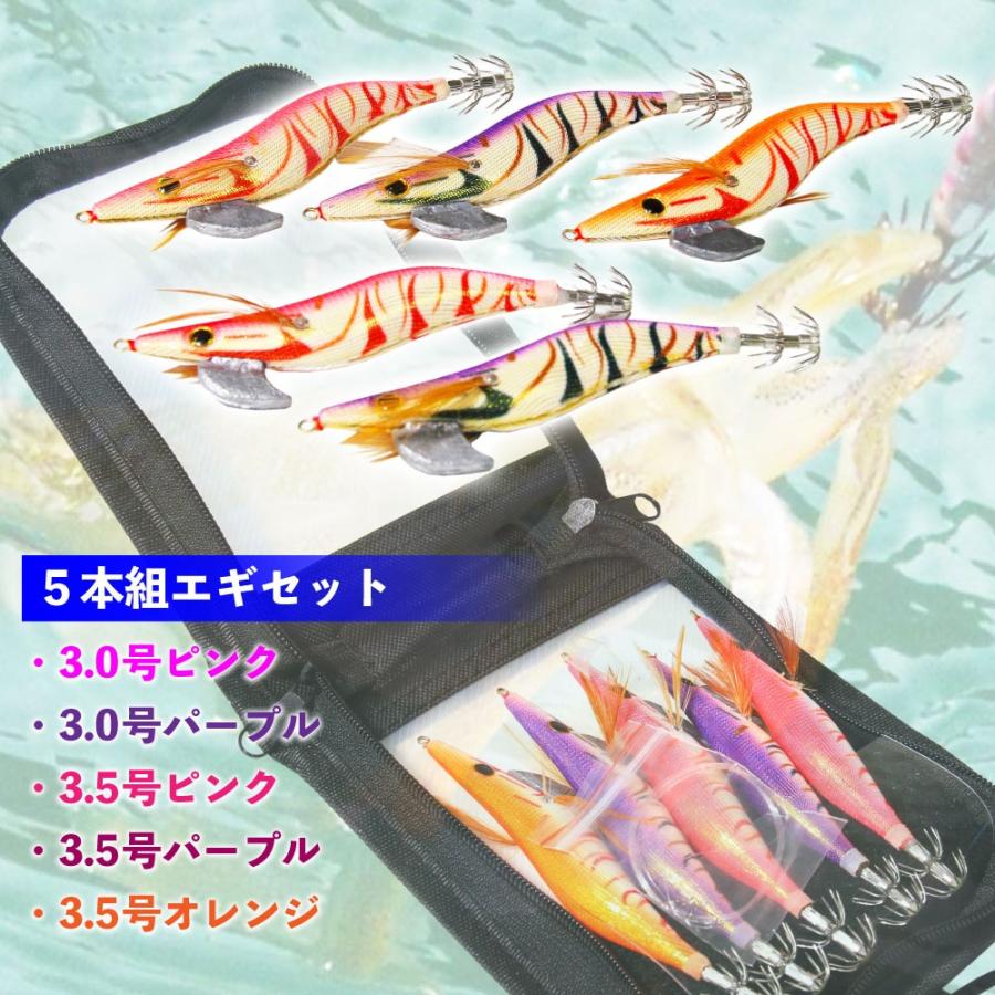 エギング入門5点セット フライデーエギング ＆ SDL2000SPE サドレス