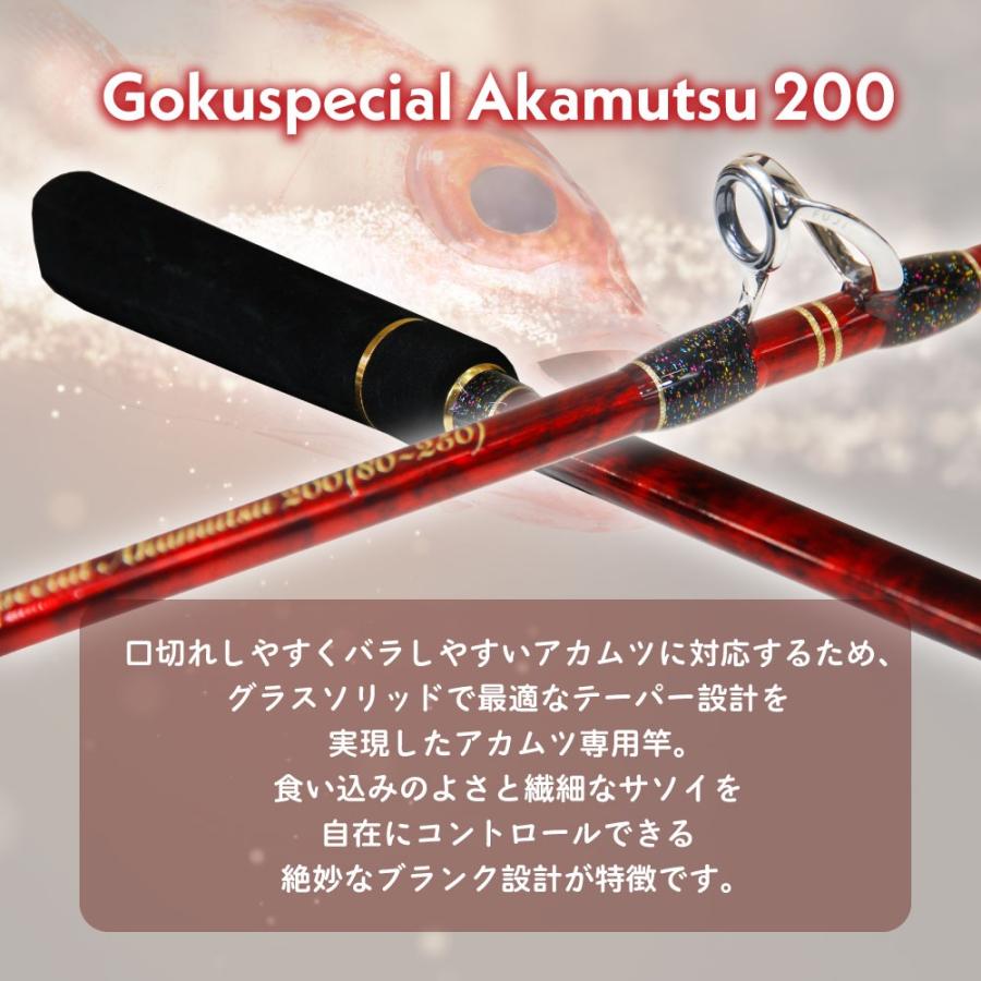 Gokuspe ゴクスペ 船竿 ゴクスペシャル アカムツ 200(goku-961703