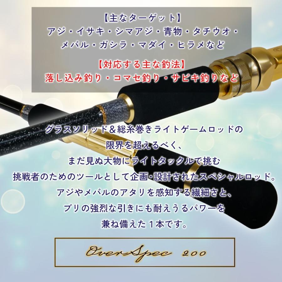 ゴクスペ 無限ピュア船 オーバースペックLT 200(goku-962199