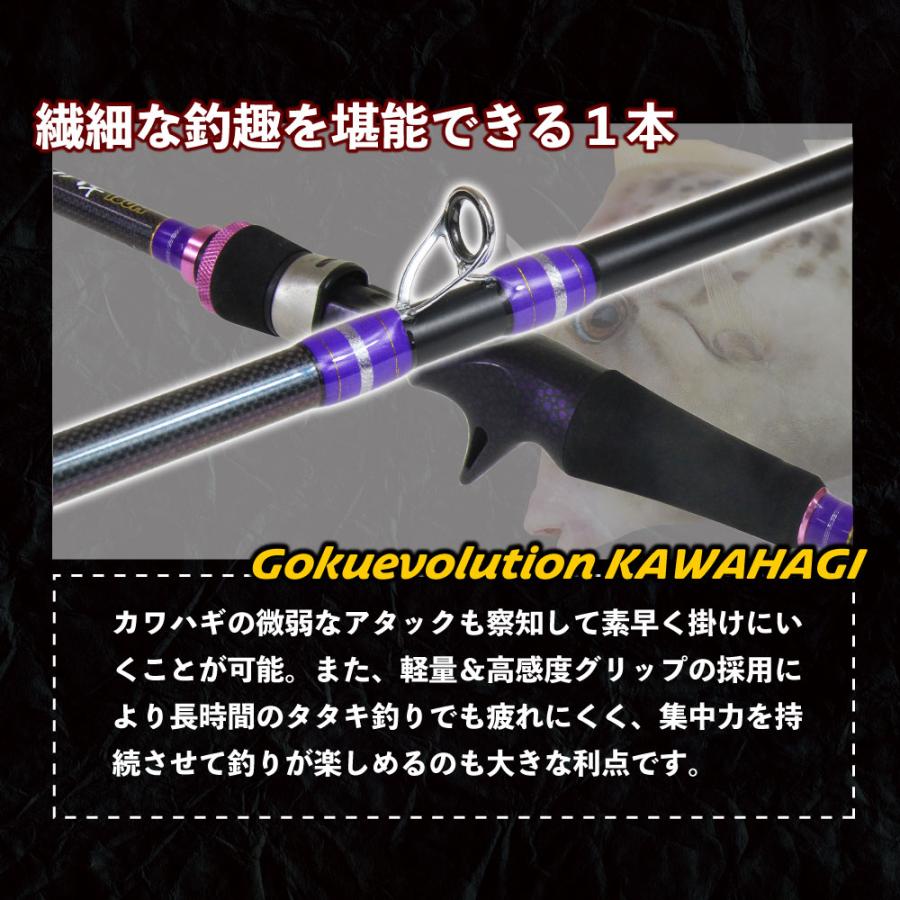 デジタルカウンターリール付 船カワハギ 180(20-40号) セット デジタルカウンターリール付 船カワハギ 180(20-40号) セット