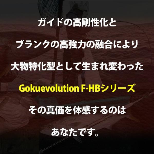 GokuEvolution F HB 195-150+シマノ 17 プレイズ 1000(ori-funeset413)｜orioku｜05