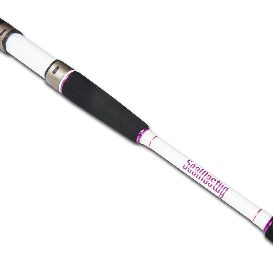 ライトアジセット Seamastug Scute船 鯵185-80+DE250N デジタル ライトアジセット Seamastug Scute船 鯵185-80+DE250N デジタル