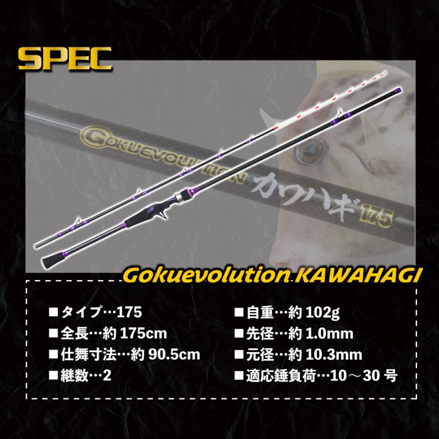ゴクエボリューション カワハギ175&テイルウォーク VILAYER DG ゴクエボリューション カワハギ175&テイルウォーク VILAYER DG