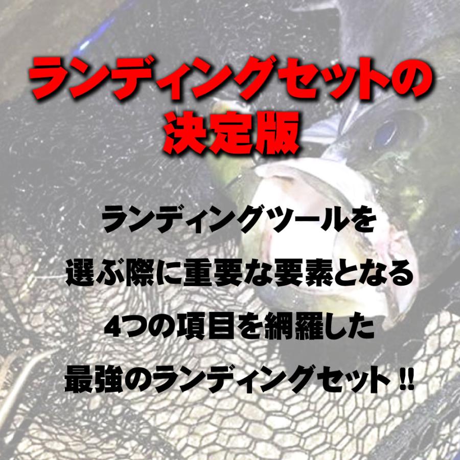ランディング3点セット BLUE LARCAL 玉の柄 6M + ランディングネットL