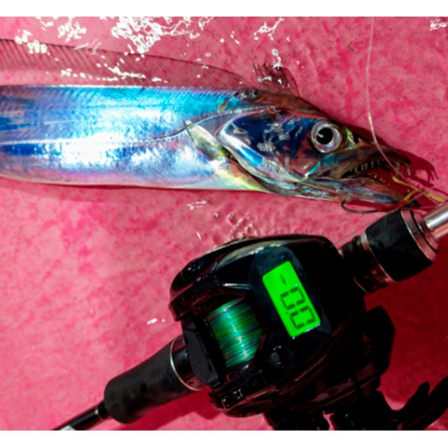 テイルウォーク VILAYER (ヴィレイヤー) DG 100HG-PH/R 右巻き テイルウォーク VILAYER (ヴィレイヤー) DG 100HG-PH/R 右巻き