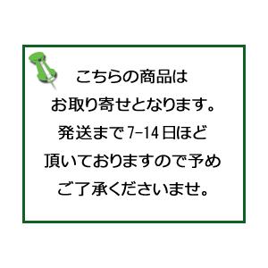 セグレタ―育毛エッセンス　150ｍｌ/宅配便限定/医薬部外品/返品交換不可(イ)｜orion-ph｜02