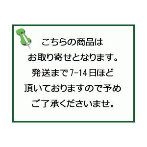 花王メンズビオレZ さらさらフットクリーム 石けんの香り 70g/ゆうメール発送可｜orion-ph｜03