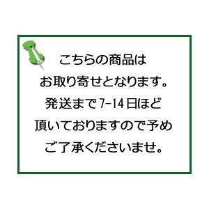 太田胃散 太田胃散 75g 2類医 宅配便限定 4987033904016 オリオンドラッグ薬局 通販 Yahoo ショッピング