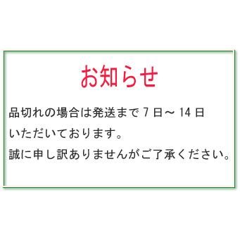 ユースキンＩ １１０Ｇ 〔3類医〕/宅配便限定｜orion-ph｜02