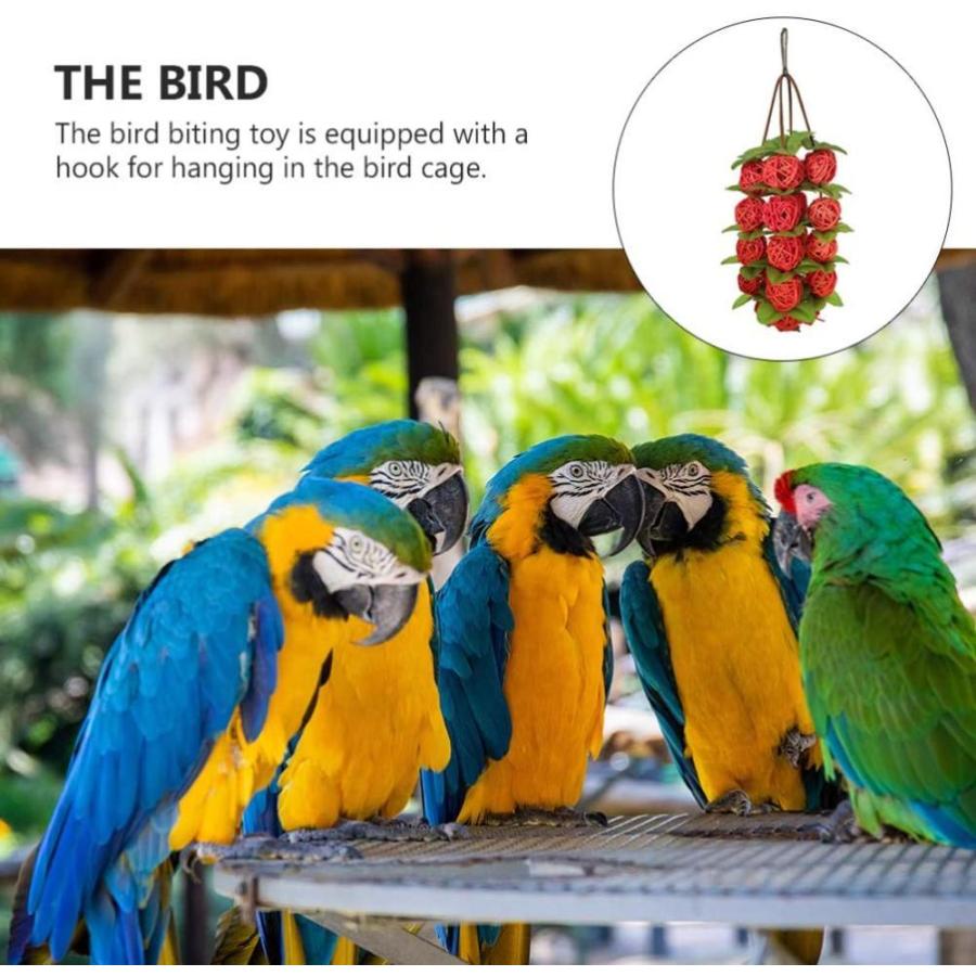 Ledmomo インコ おもちゃ かじる玩具 吊下げタイプ 遊び場 ボール ストレス解消 知育玩具 鳥のおもちゃ キャットケージ Myleet Com