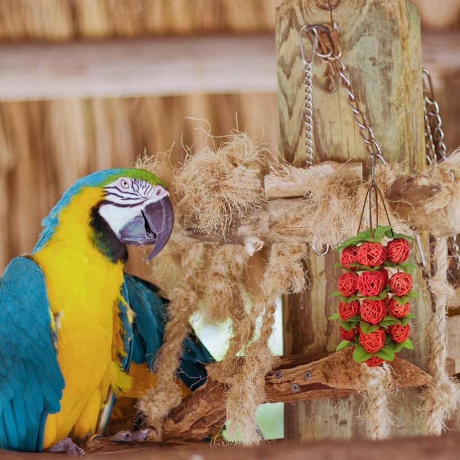 Ledmomo インコ おもちゃ かじる玩具 吊下げタイプ 遊び場 ボール ストレス解消 知育玩具 鳥のおもちゃ キャットケージ Myleet Com