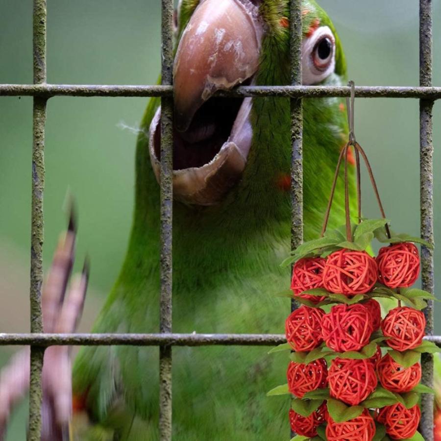 Ledmomo インコ おもちゃ かじる玩具 吊下げタイプ 遊び場 ボール ストレス解消 知育玩具 鳥のおもちゃ キャットケージ Myleet Com