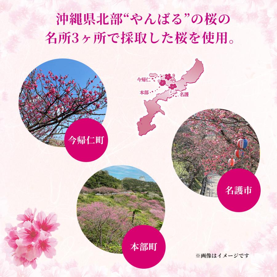 オリオンビール（Orion Breweries） 季節限定 オリオン いちばん桜