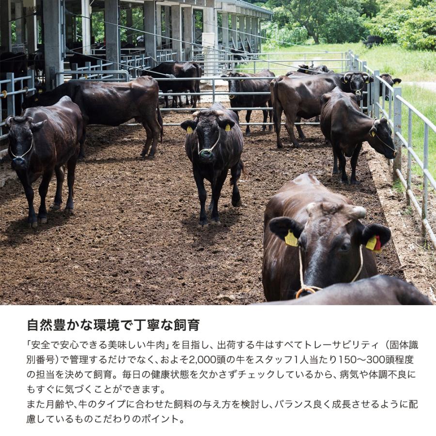 2024 レトルトカレー 高級 レトルト食品 常温保存 常温 惣菜 もとぶ牛 ビーフカレー 沖縄土産 お土産 プレゼント 父の日 ...
