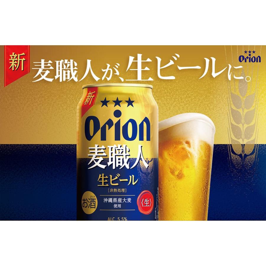 オリオンビール（Orion Breweries） クラフトビール 24本 飲み比べ
