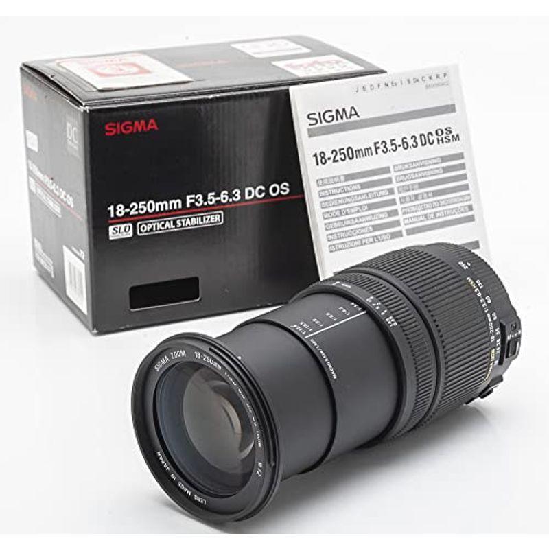 74％以上節約シグマ 18-250mm F3.5-6.3 NA HSM ニコン用 DC OS 交換