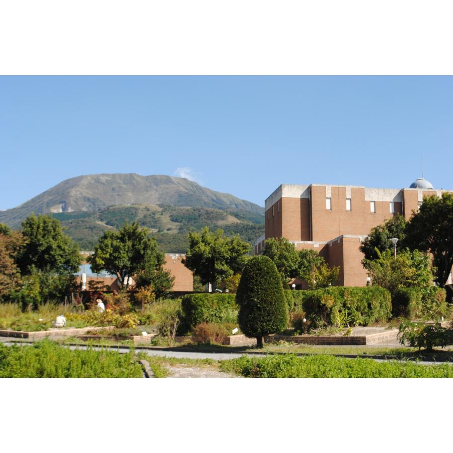 かくとだにハンドスプレー |  | 03