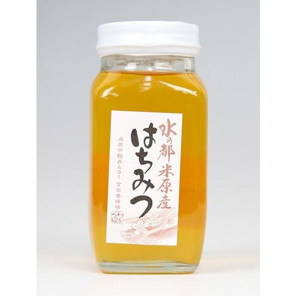 宮田養蜂場のトチ蜜（大） | 