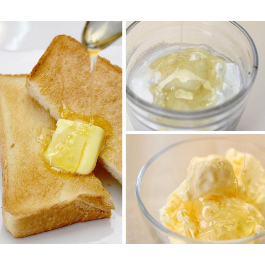 宮田養蜂場のトチ蜜（大） |  | 02